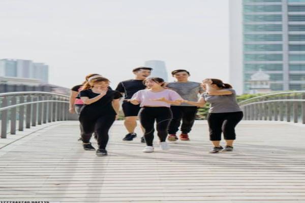 张继科所属体育项目及职业成就(图1)